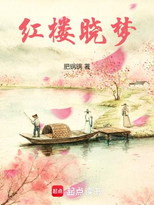 红楼晓梦肥锅锅笔趣阁