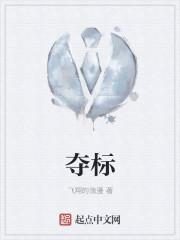夺标百度影音